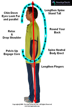 Optimal Postural Alignment Using Tai Chi Principles